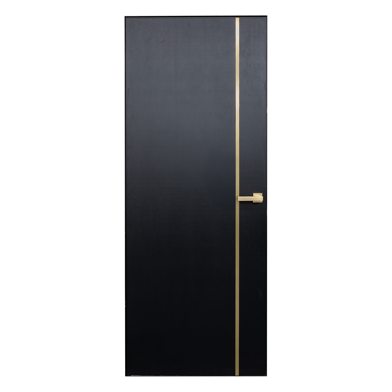 FL-1 Black Shagreen frameless interior door